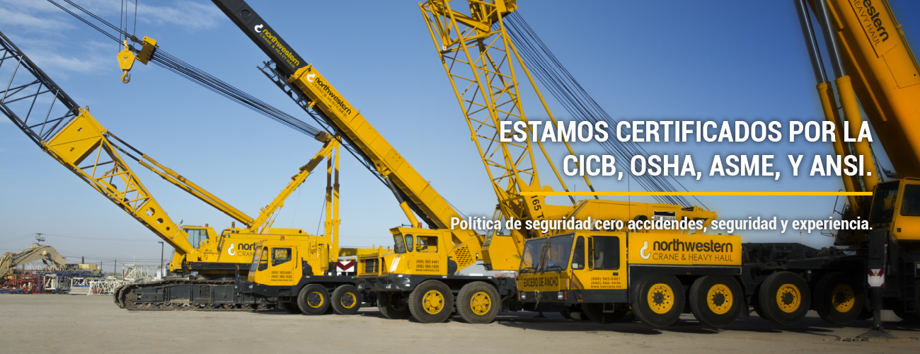 componentes/OemI8s3DNp7frByk4EsJi9L9wnTyvh6VQYvotZNh.jpg