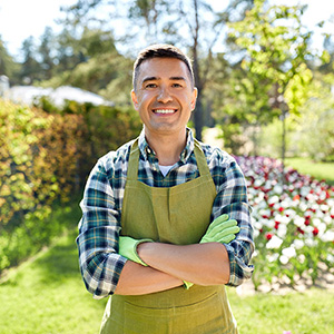 imagen de marqueeundefined